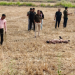 5267697 untitled 30 copy