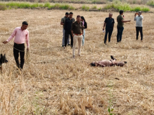 5267697 untitled 30 copy