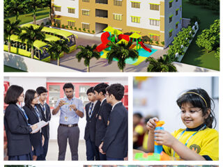 AP_Branches-1681720141-2029851919